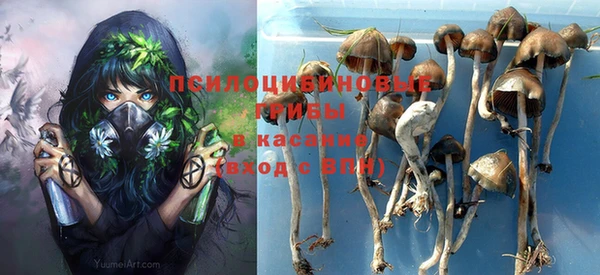 кристаллы Алзамай