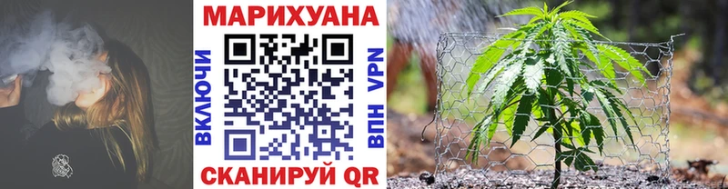 где купить Мантурово Бошки Шишки планчик